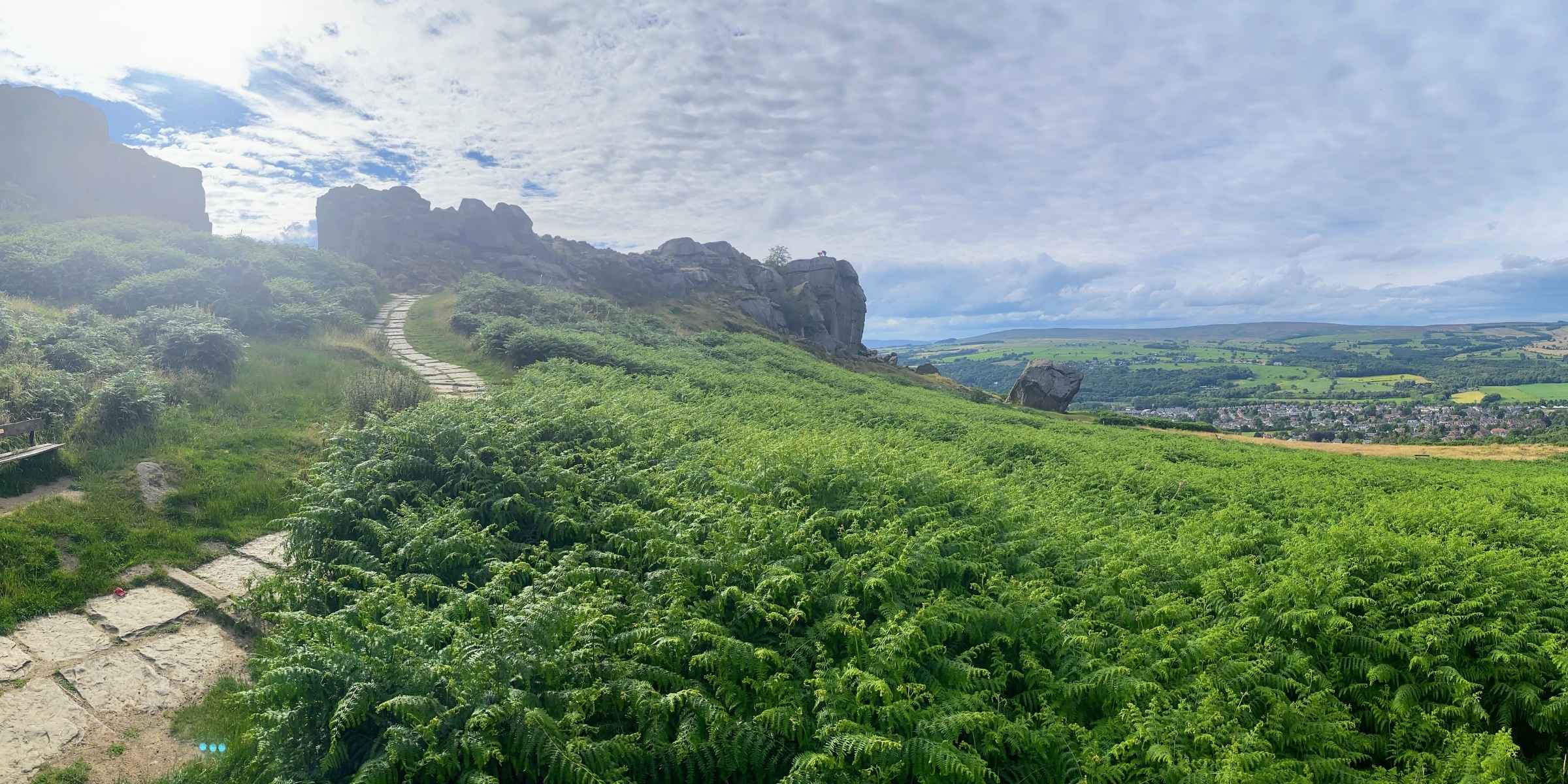 Ilkley Moor Cow and Calf with path and greenery. Blue sky with clouds.