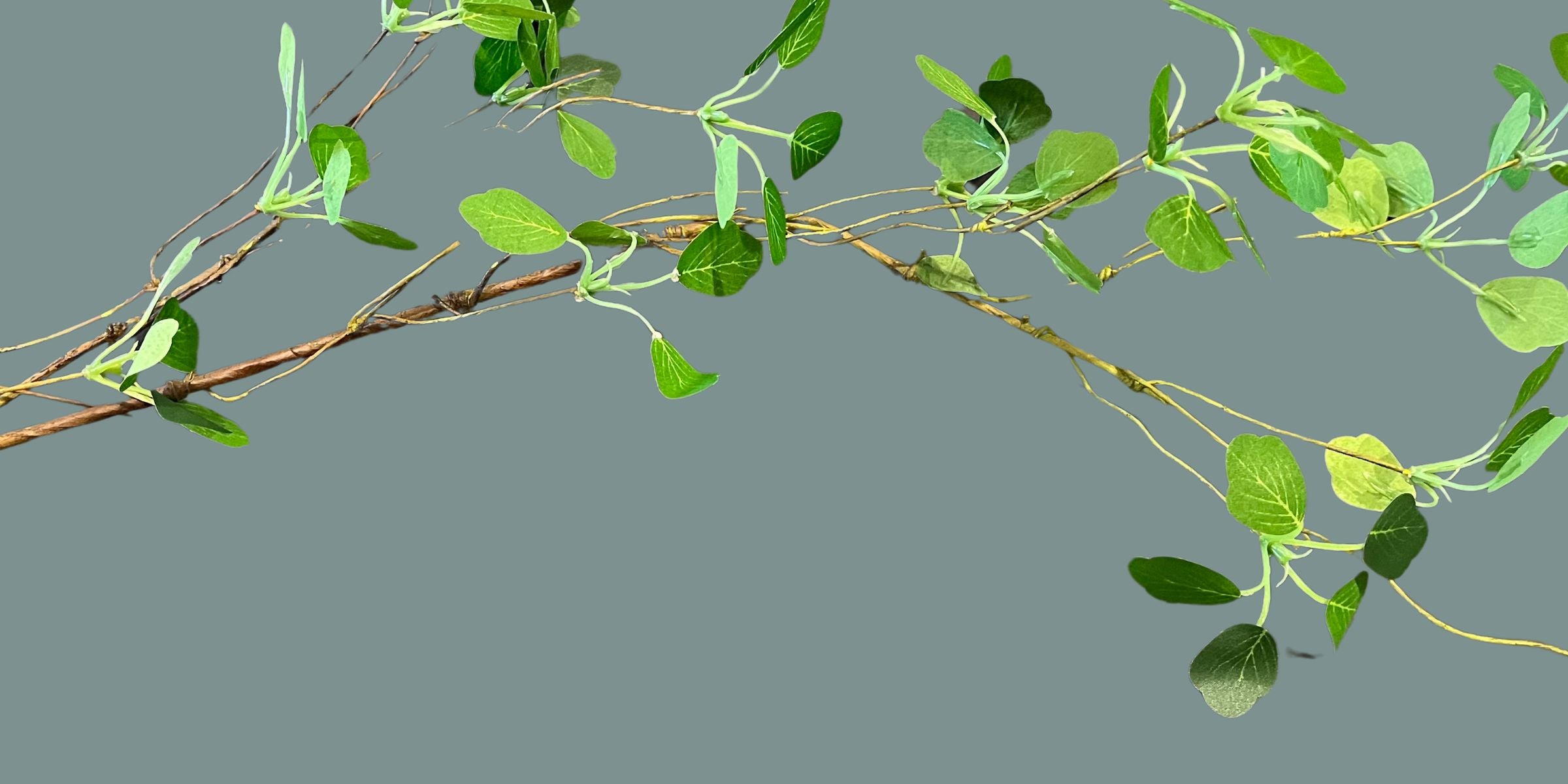 Seddon and Davison - Green Accents for Home Interiors - 2024 Spring / Summer Colour Trends