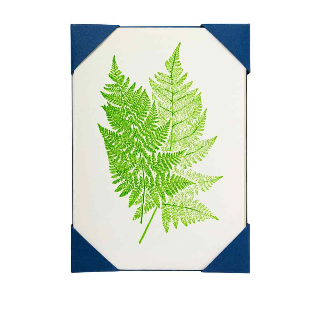 ARCHIVIST NOTELET - TWO FERNS