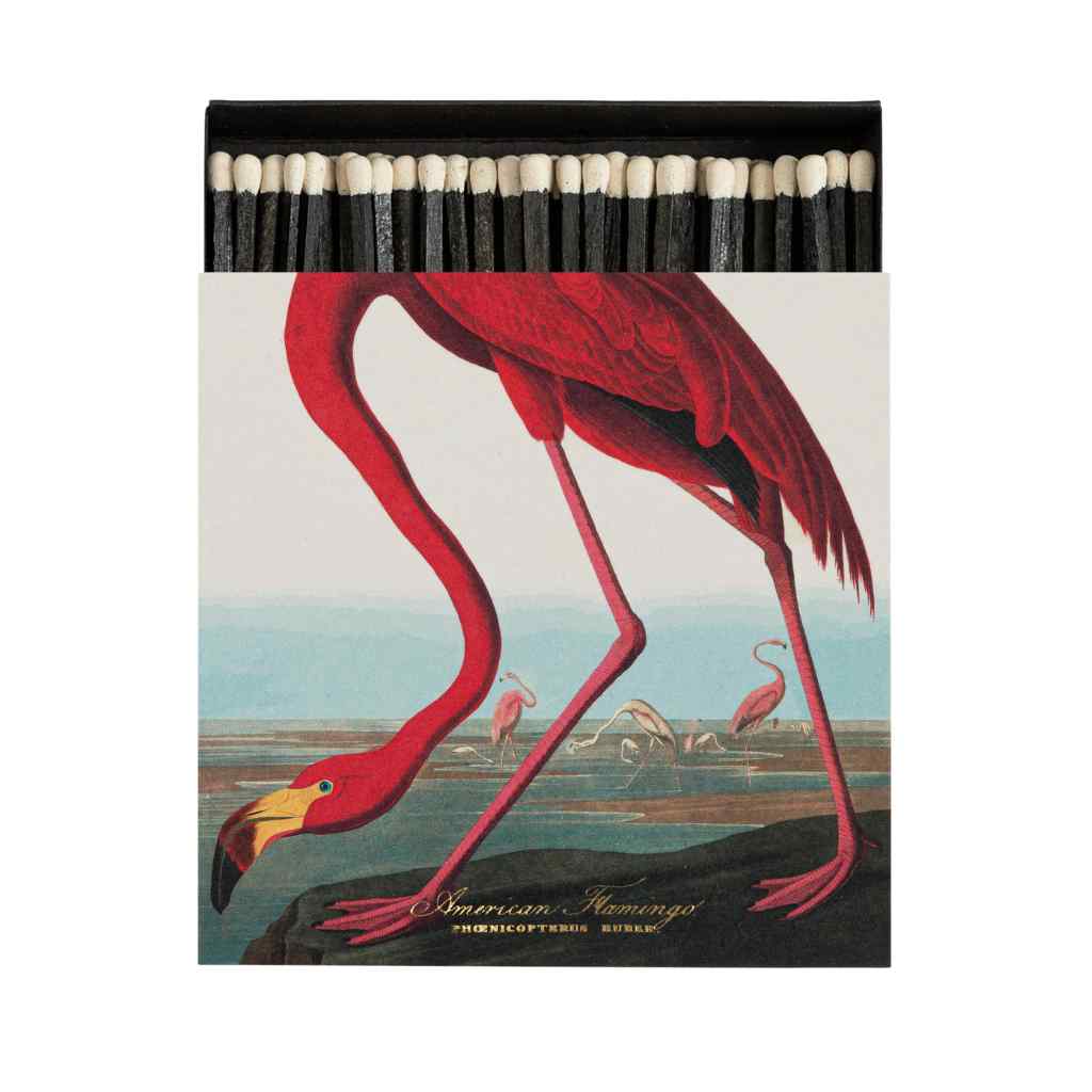 Archivist Matches - American Flamingo