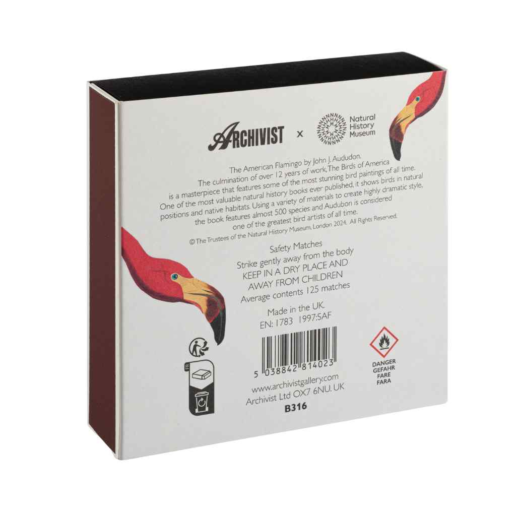 Archivist Matches - American Flamingo by Audubon