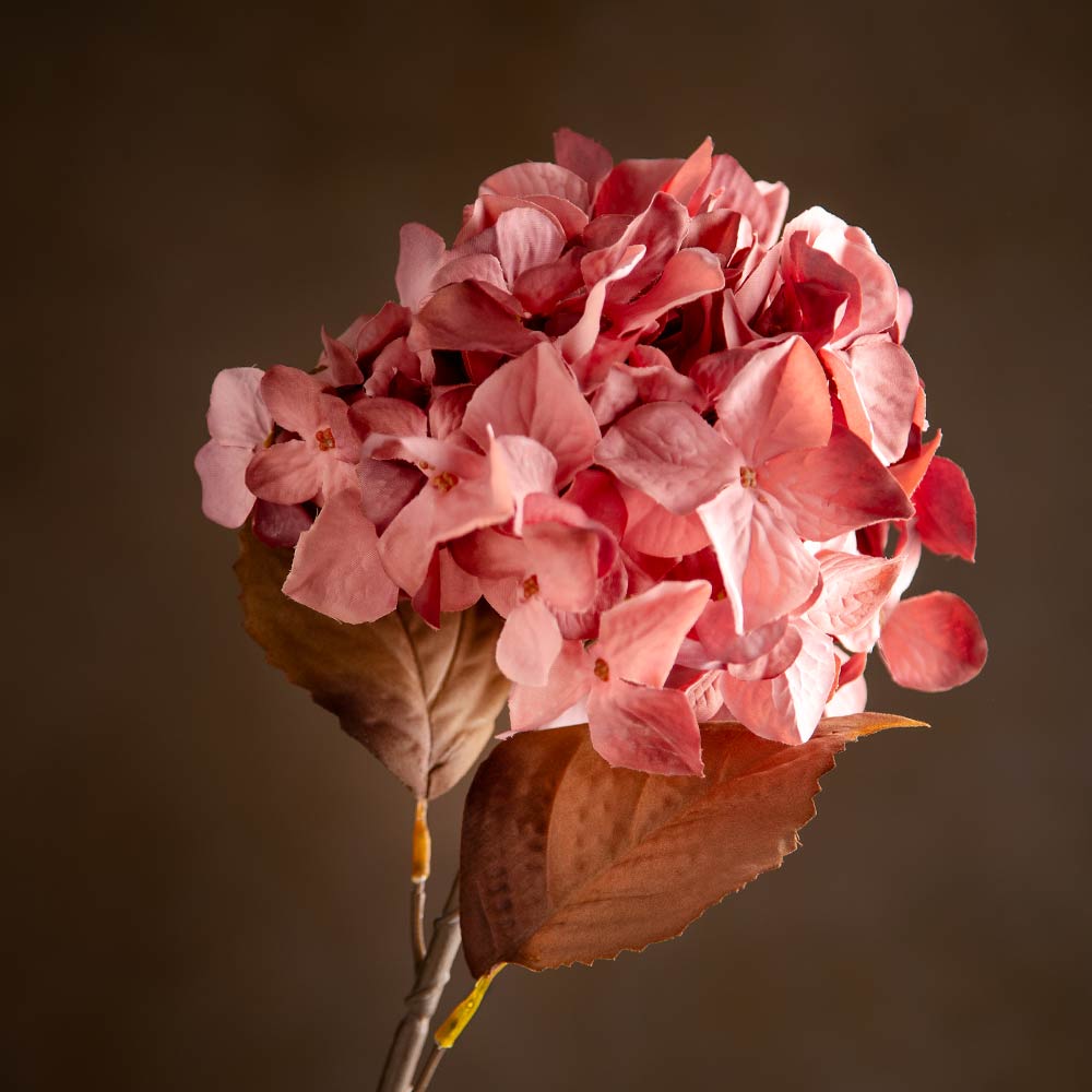 A close up of an artificial pink hydrangea stem with multiple clustered pink blossoms, a few brown leaves, and a brown stem on a brown background.