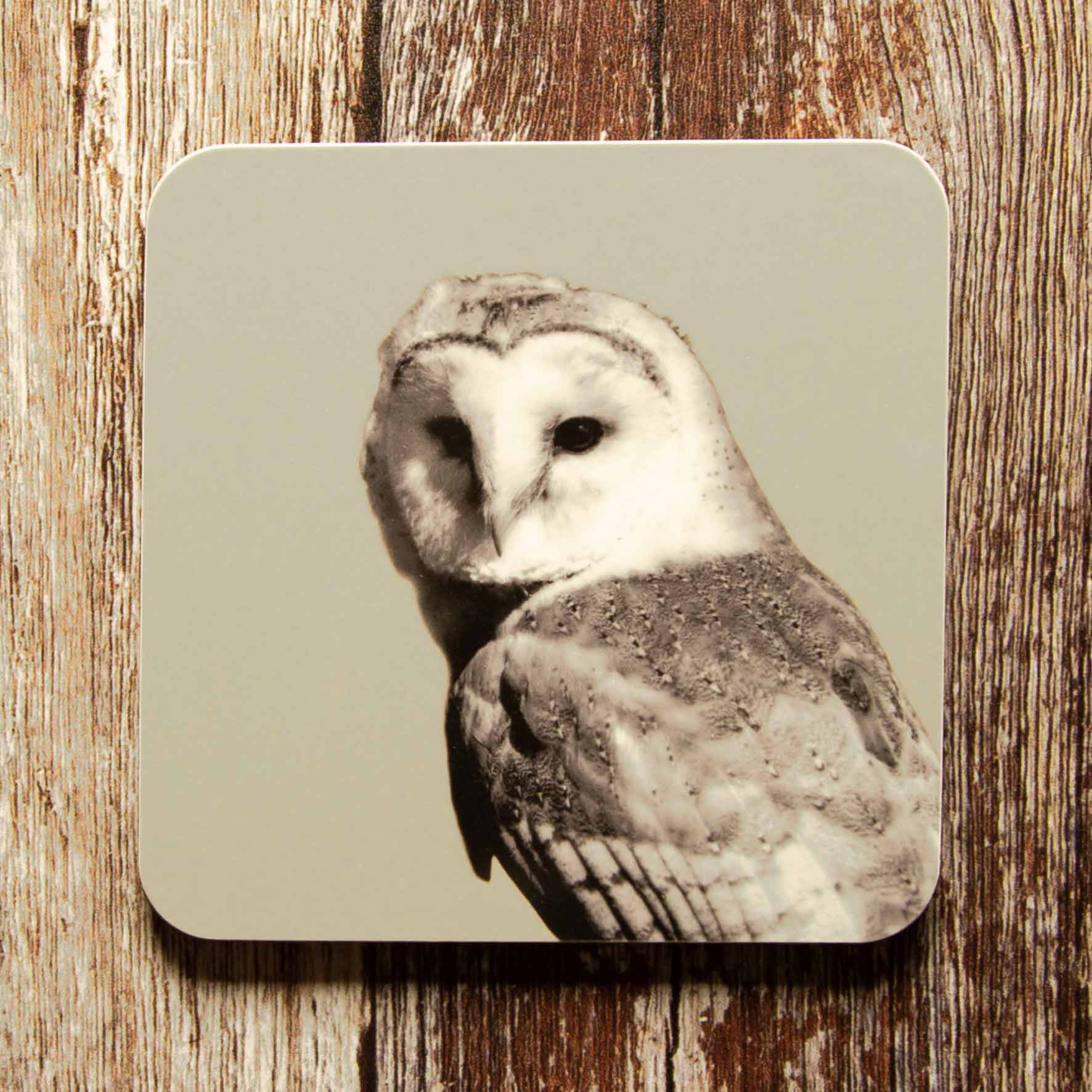 Barn Owl Coaster - Sand
