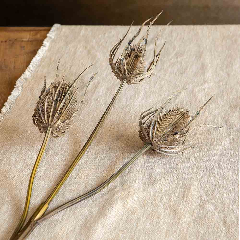 Artificial Brown Teasel Spray