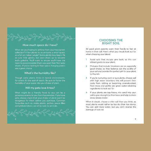 Choosing the Right Soil