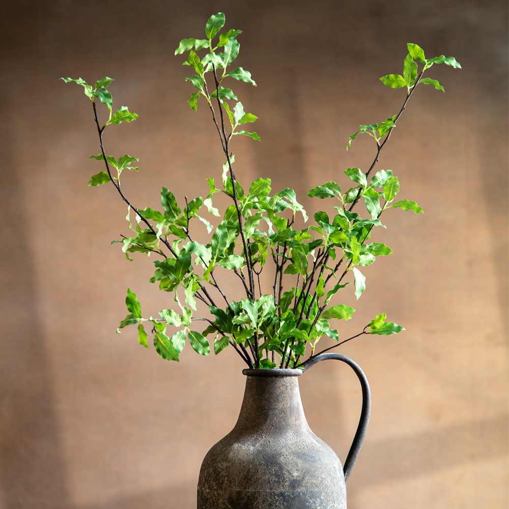 A rustic ceramic pitcher vase with a curved handle, filled with green citrus style leaves on dark brown stems, set against a warm brown textured background.