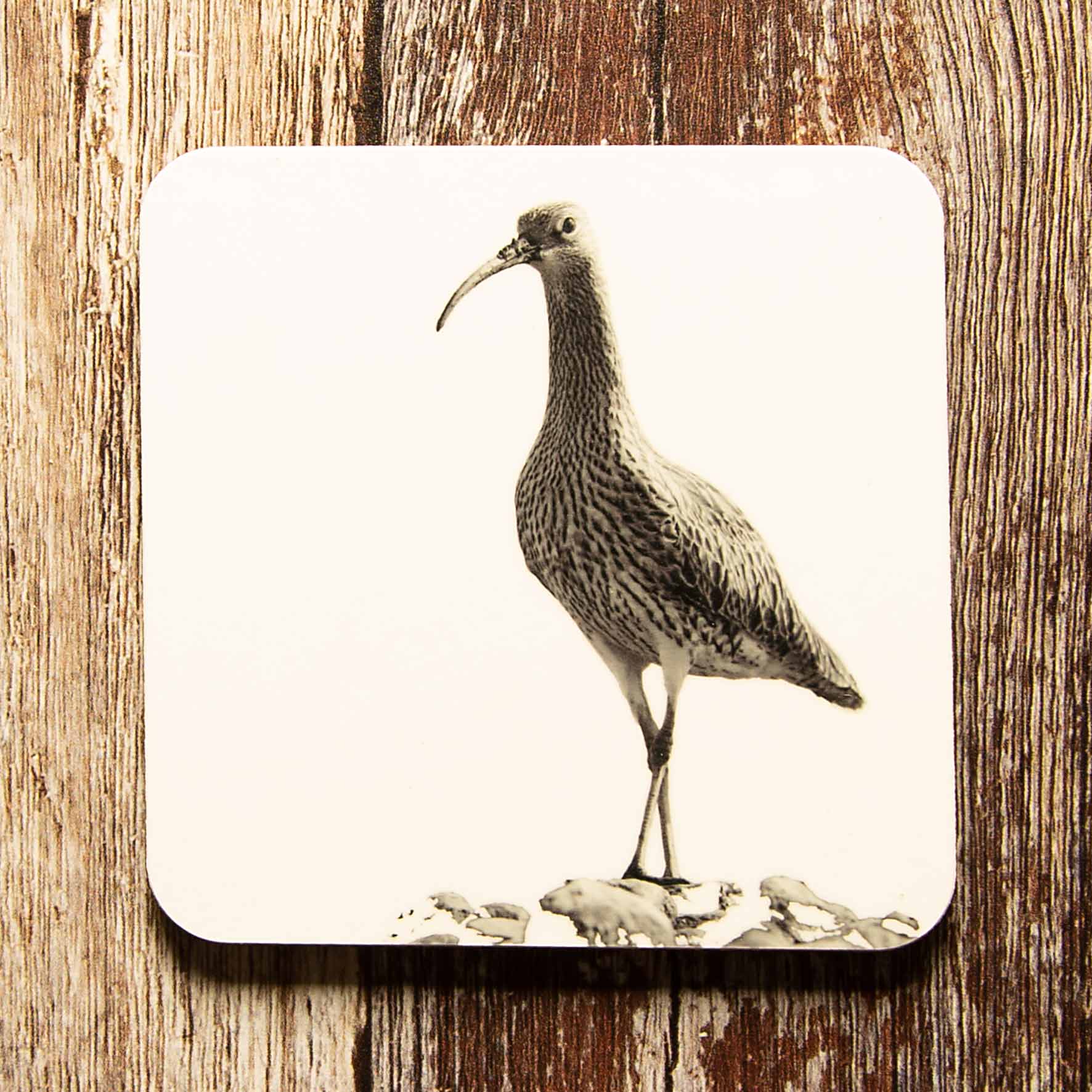 Curlew Coaster - White