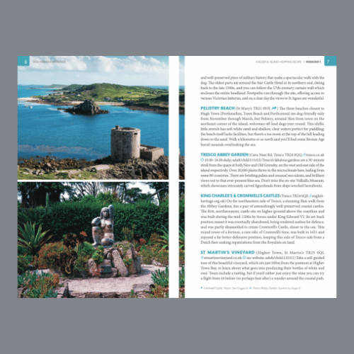 Dog Friendly Weekend - Example Page