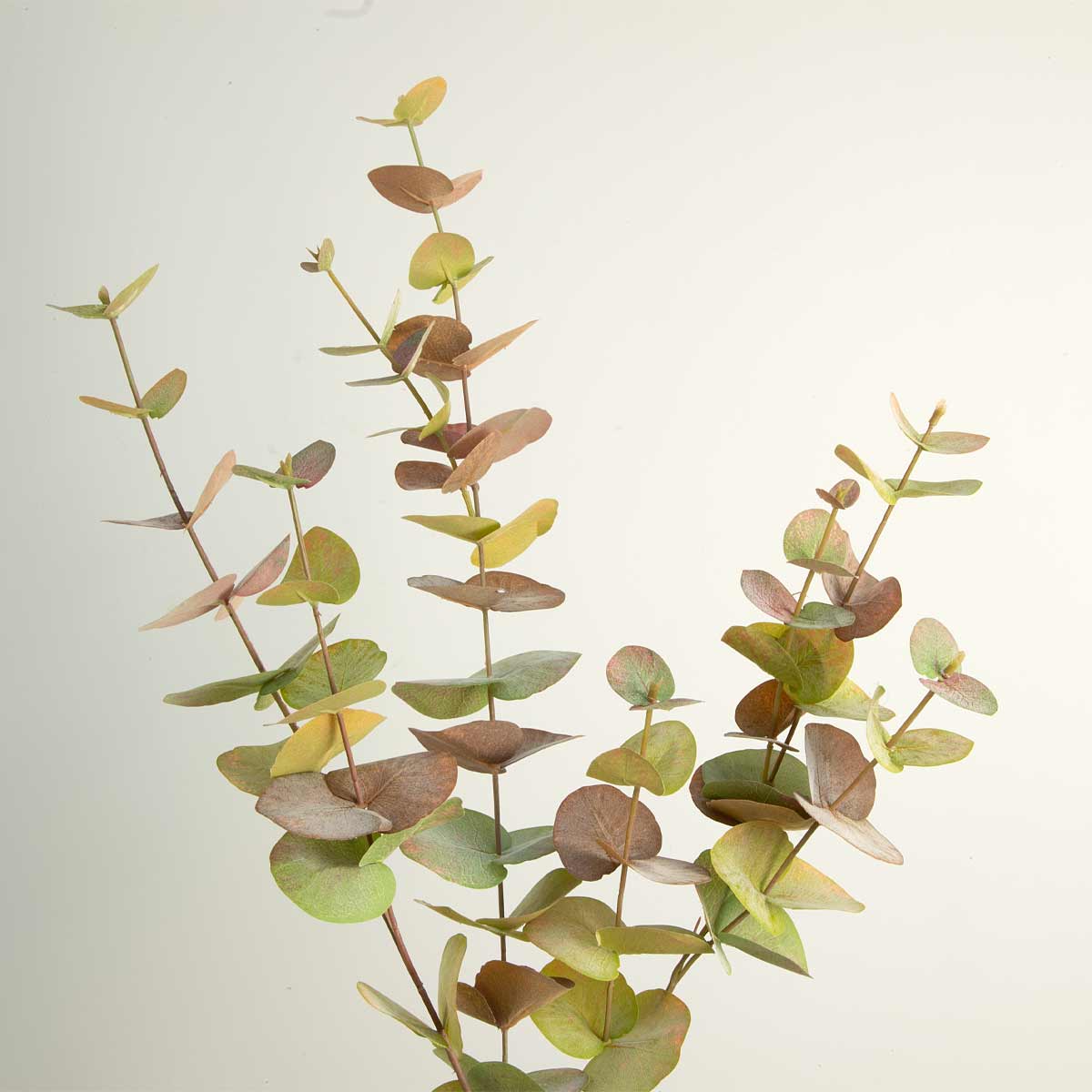 Artificial Tall Eucalyptus Autumn Spray with green and brown leaves on a light background