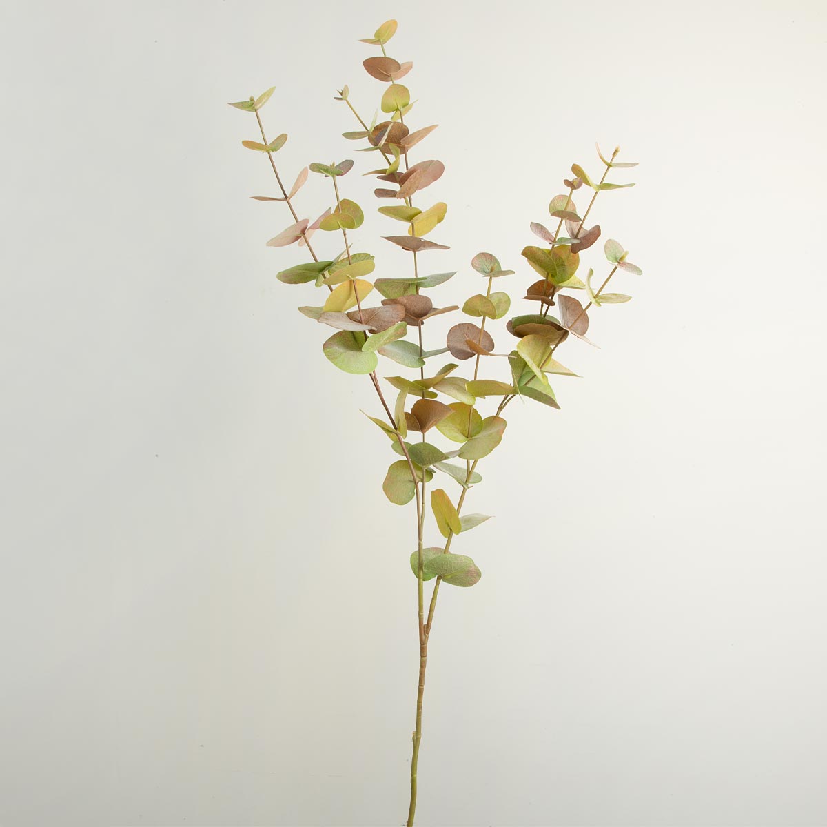 Artificial Eucalyptus Tall Autumn Spray on a plain background