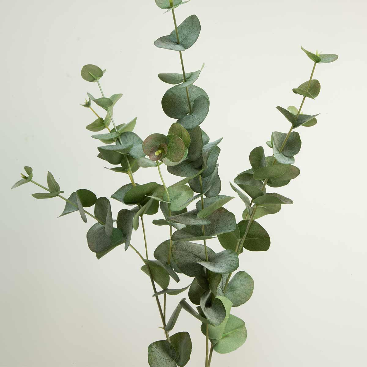 Close up of Artificial Tall Green Eucalyptus Spray with multiple leaves on a single stem against a white background