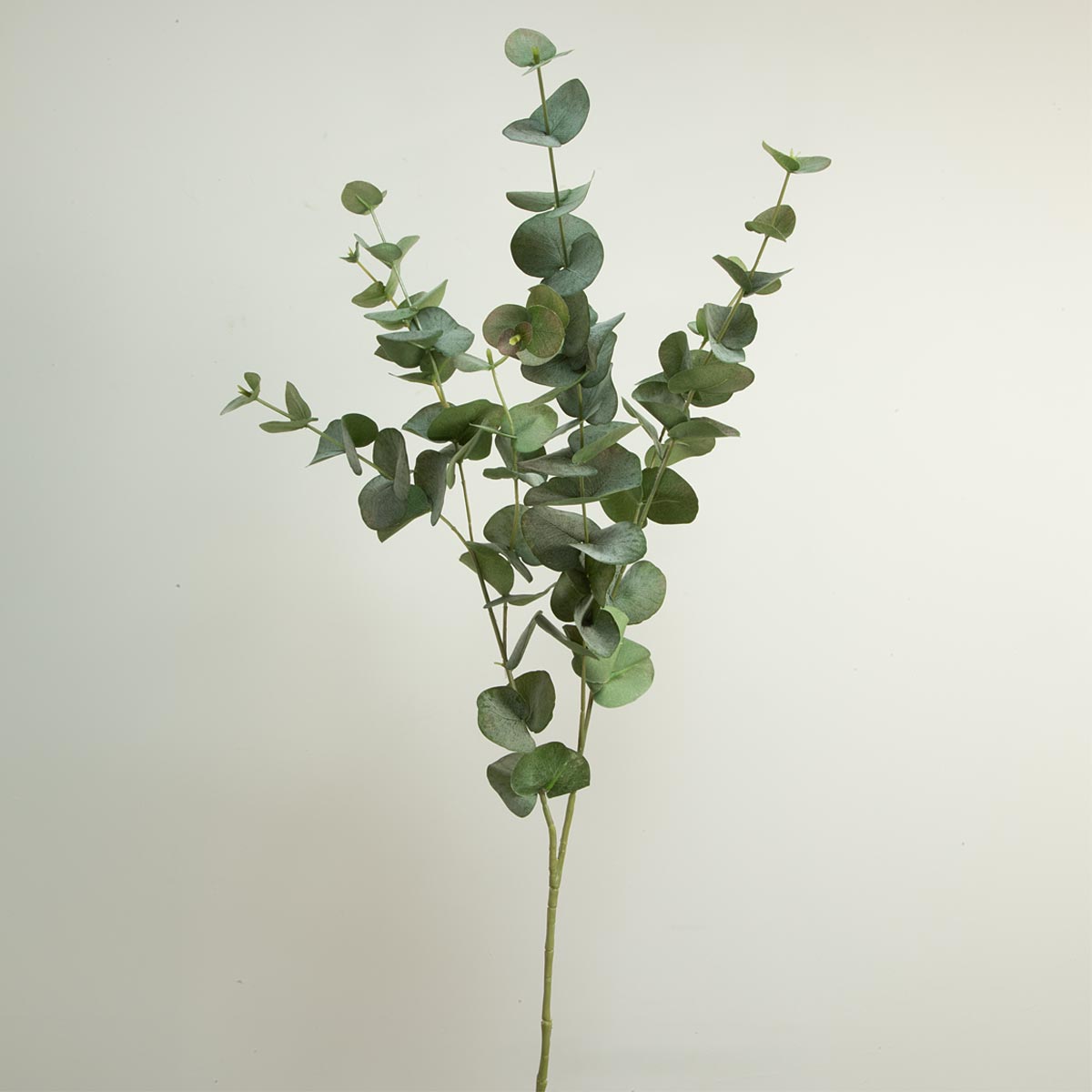 Artificial Tall Green Eucalyptus Spray with multiple leaves on a single stem against a white background