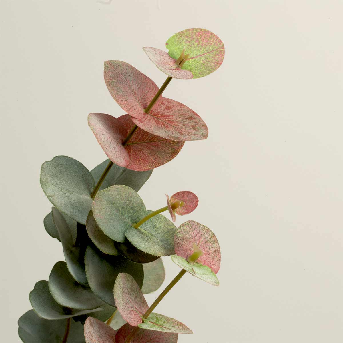 Extremee close up of Faux Eucalyptus Tall Spray with rose tint - artificial leaves on a neutral background