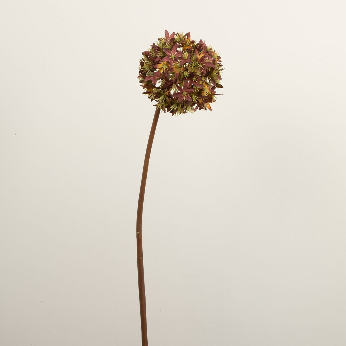Artificial brown viburnum stem with a spherical cluster of flowers on a white background.