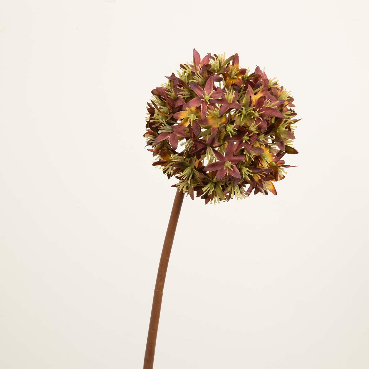 Artificial brown viburnum stem with a spherical cluster of flowers on a white background.