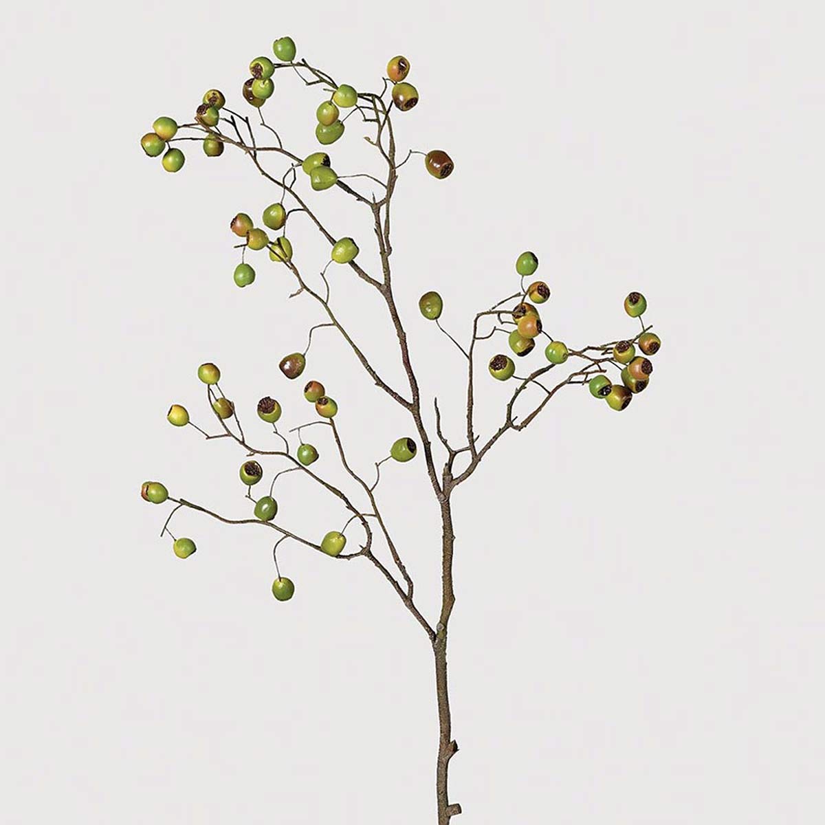 An artificial dual tone eucalyptus berry stems on white background