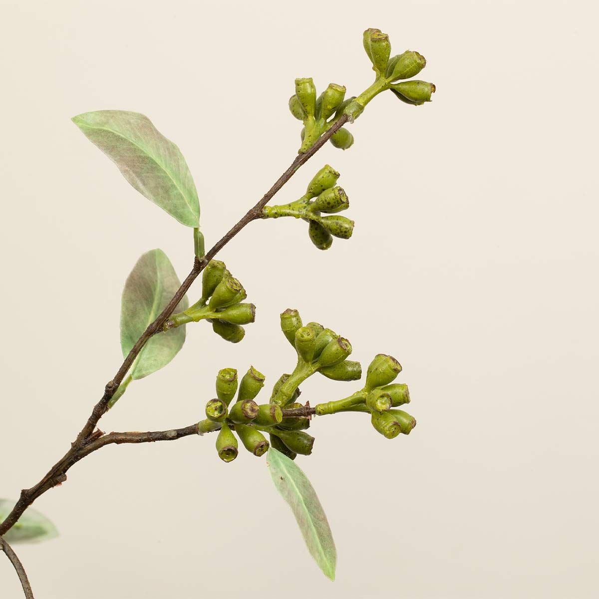 Artificial eucalyptus seed pod spray with green leaves and pods on a white background