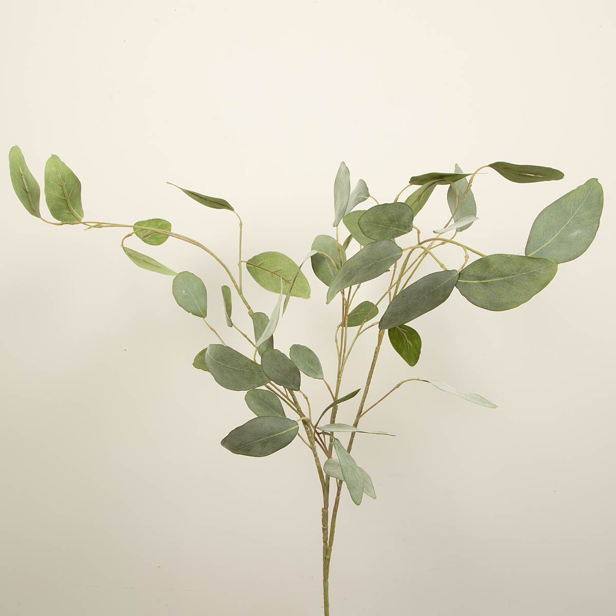 A single stem of faux eucalyptus silver dollar with green round leaves on a white background.