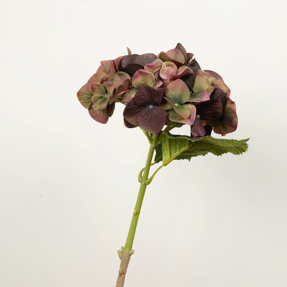 Artificial fig and olive hydrangea flower with green leaves on a white background