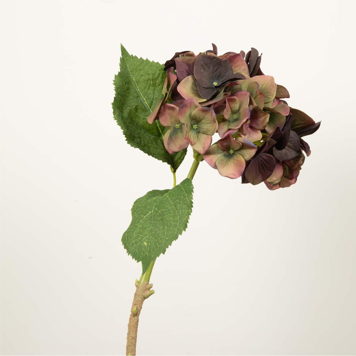 Artificial fig and olive hydrangea flower with green leaves on a white background