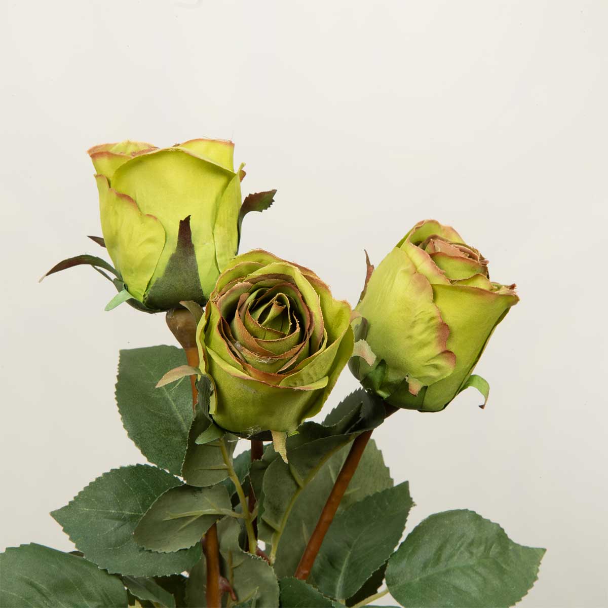 Three Faux Green Rose Stems green with leaves on a light grey background