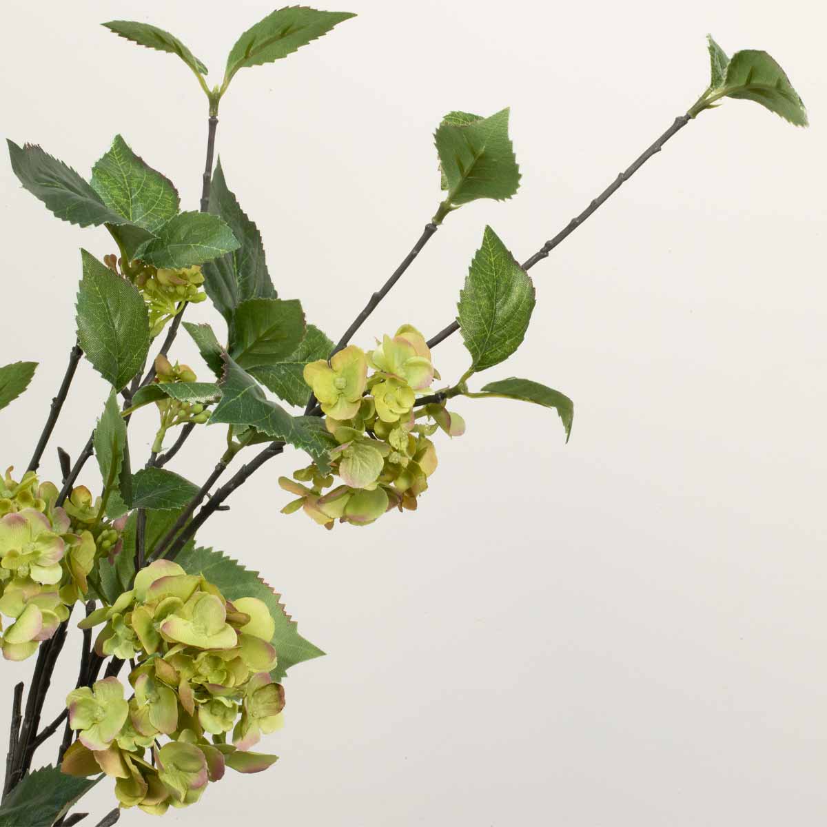 Close up of artificial green hydrangea spray with multiple branches and green leaves.