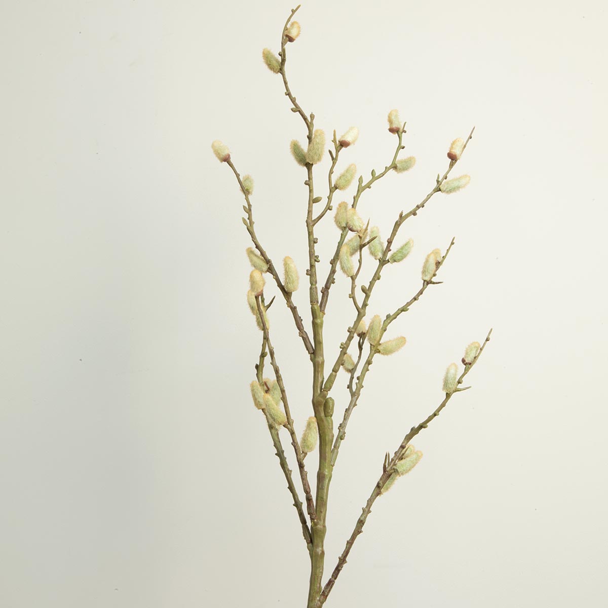 Close up of an artificial pussy willow branch with beige buds on a stem