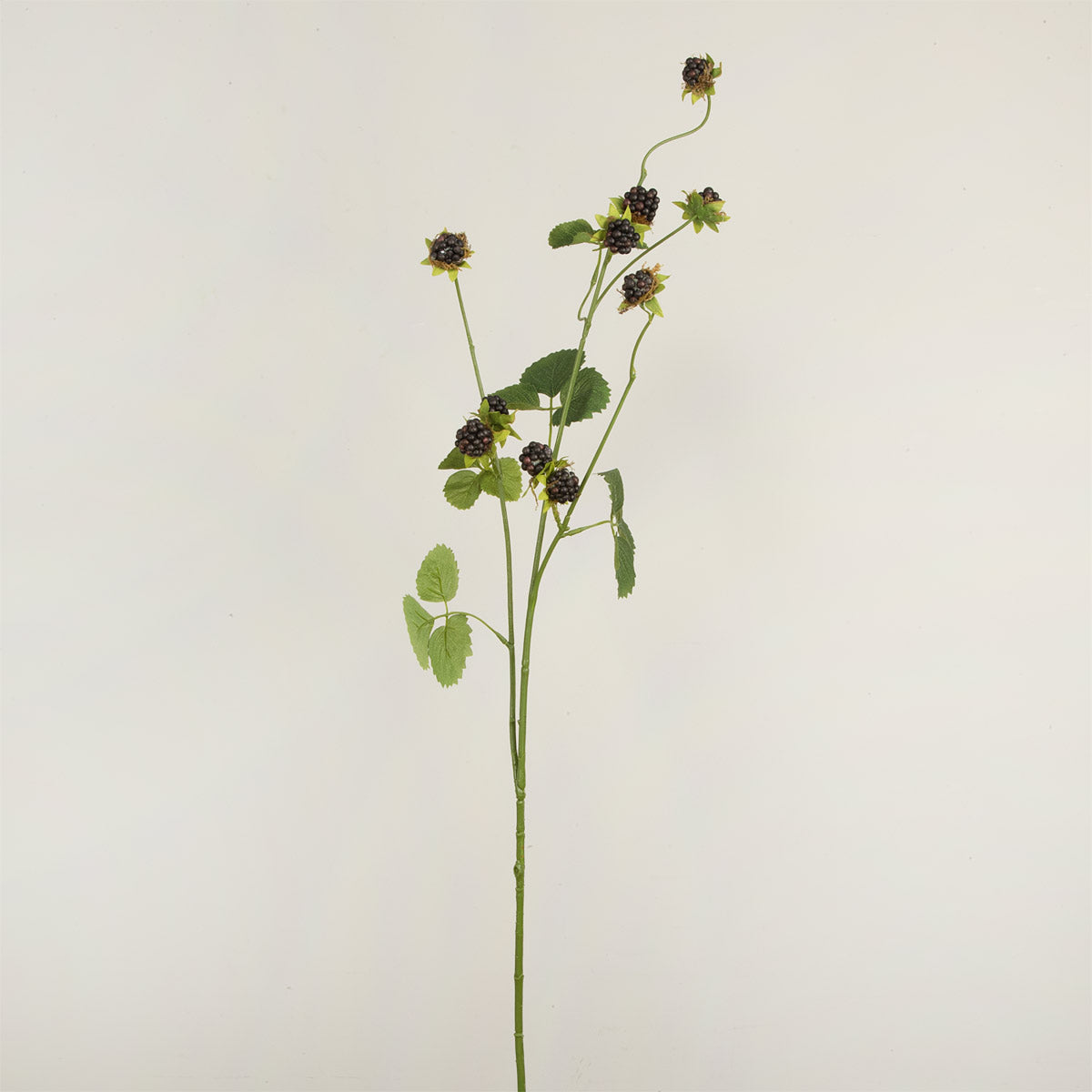 Artificial blackberry spray with green leaves and black berries on a light beige background