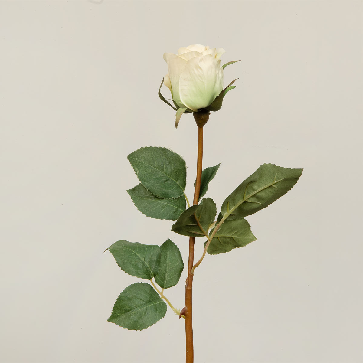 Faux light Cream Rose bud on a green stem with leaves against a light gray background