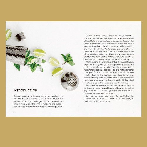 Little Book for Cocktail Lovers - Introduction