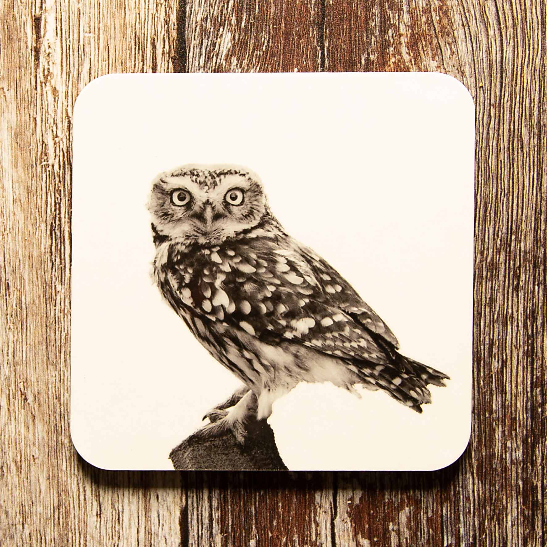 Little Owl Standing Coaster - White