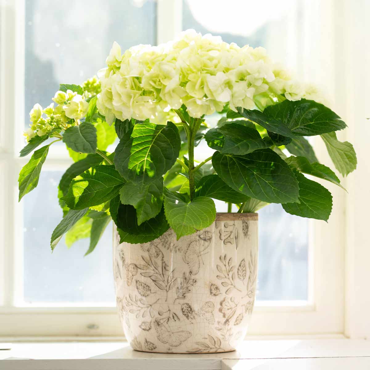 Melinda Taupe Round Floral Ceramic Pot