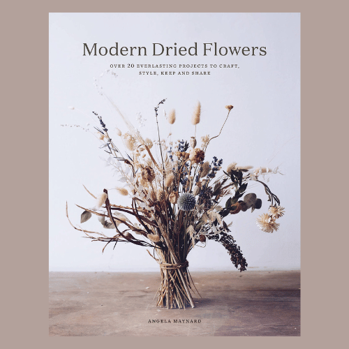 Modern Dried Flowers