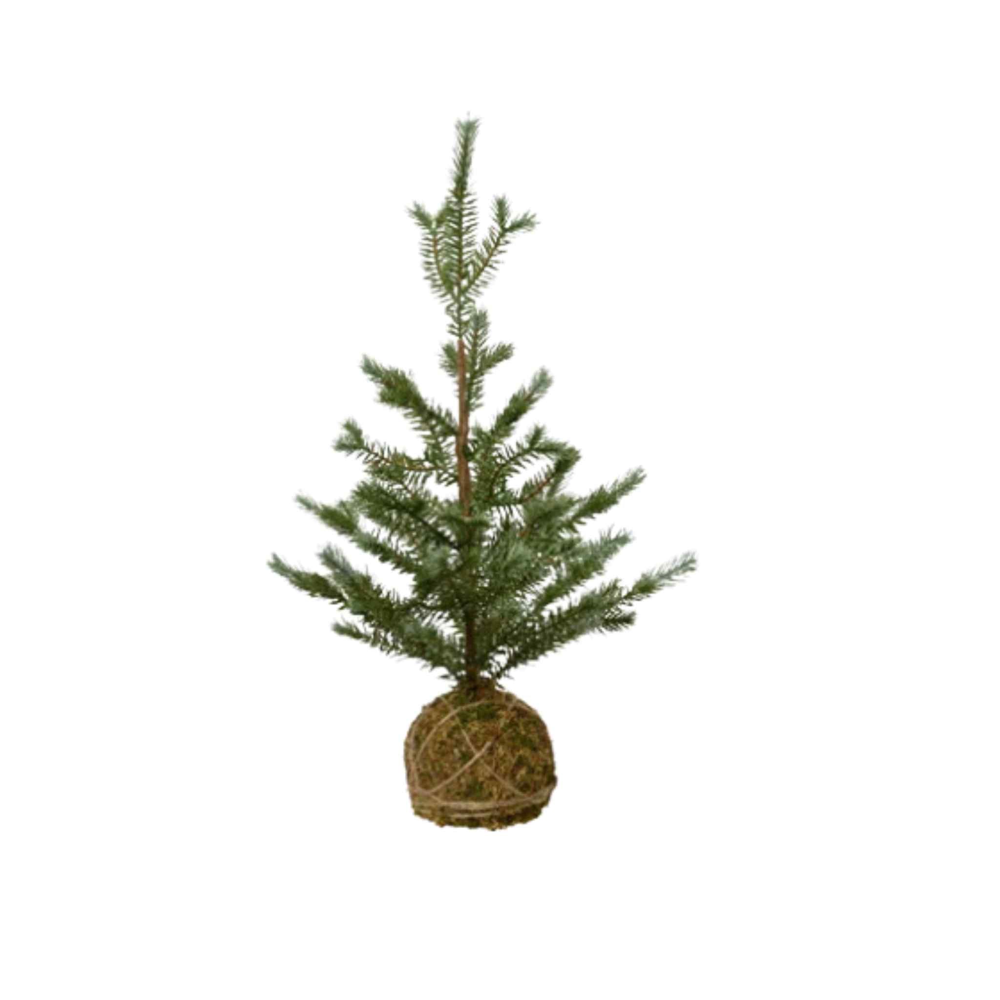 Moss Ball Mini Tree - Medium