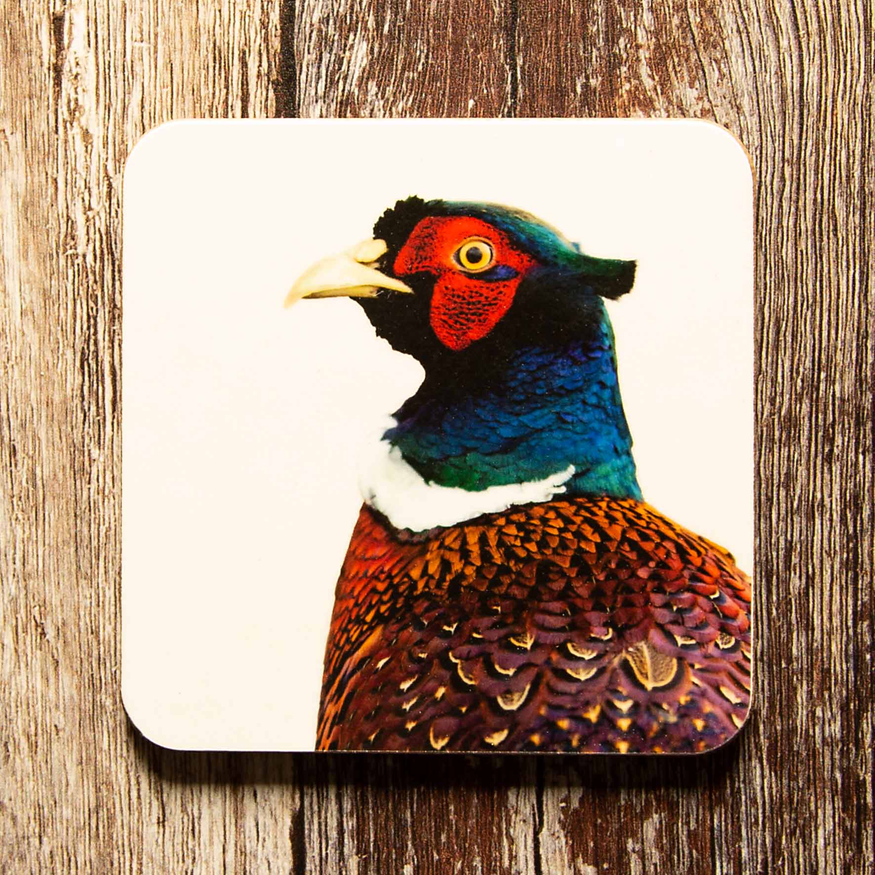 Pheasant Colour Coaster - White