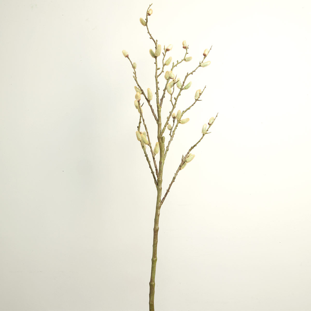 Artificial pussy willow branch with beige buds on a stem against a white background.