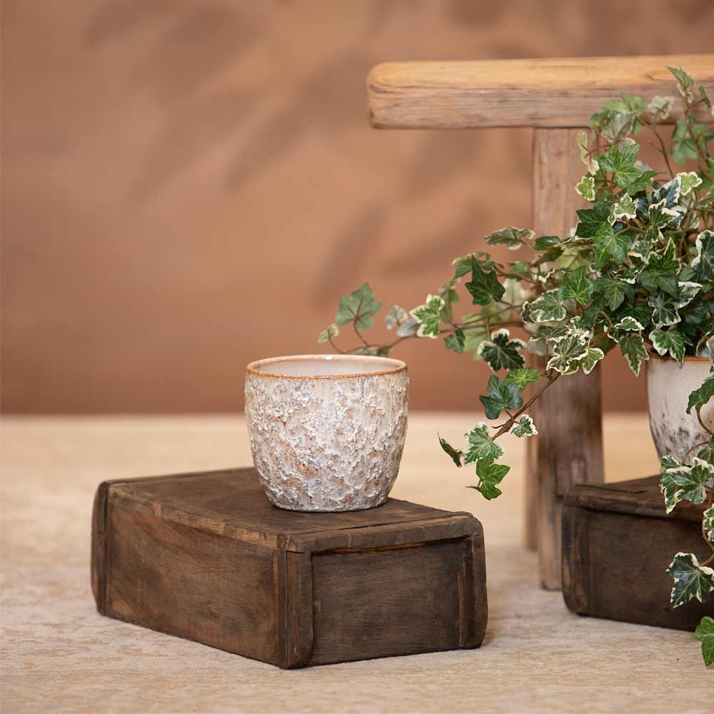 Rebecca Cream Ceramic Pot