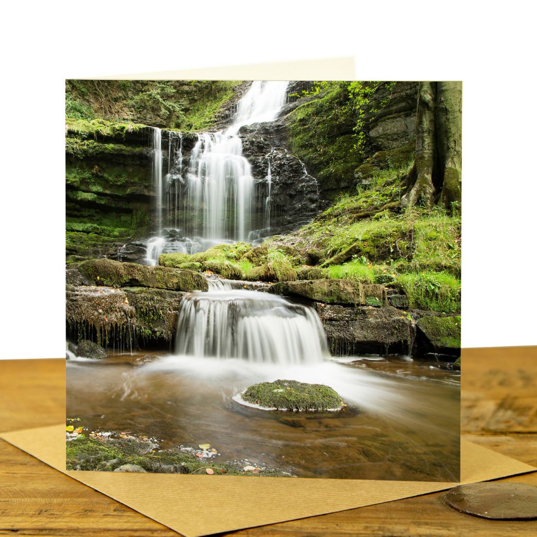 Scalebor Force, Settle - Colour Greetings Card