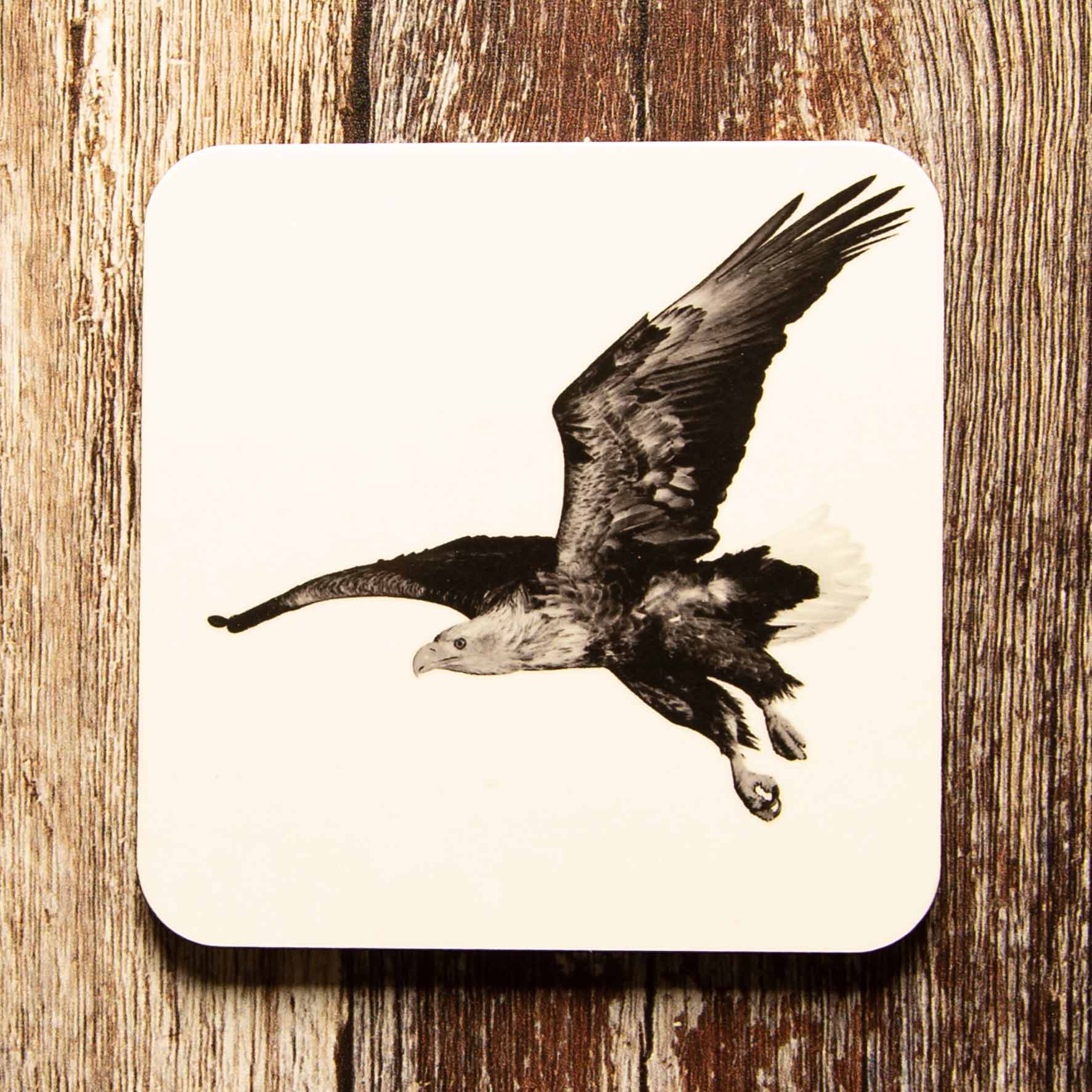 Sea Eagle Coaster - White