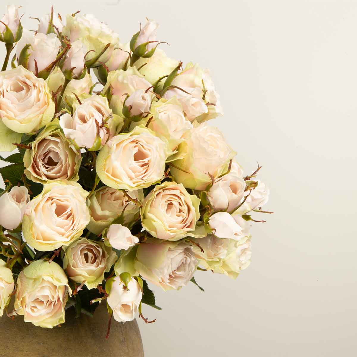 Soft Pink Rose Spray