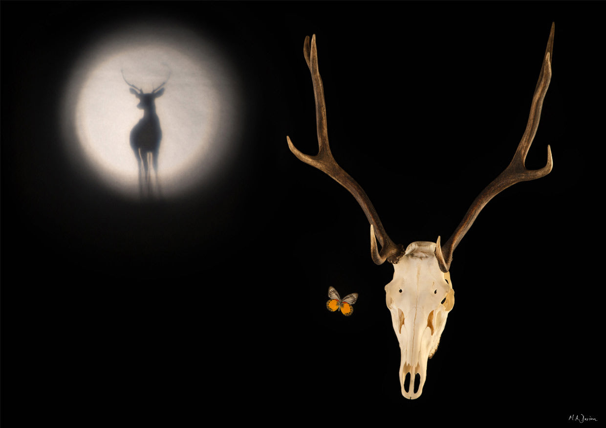 Stag, Butterfly and Moon - Contemporary Vanitas Print
