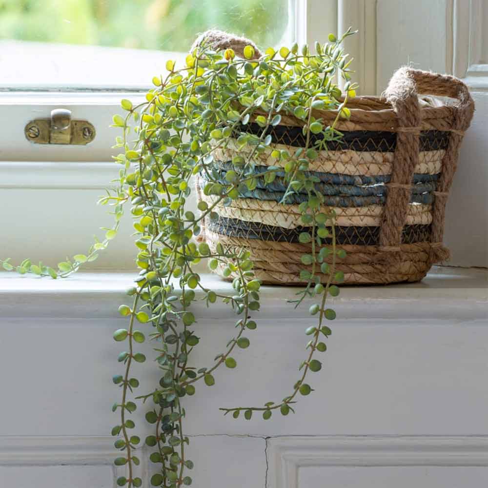 Straw and Corn Baskets with Blue Stripe