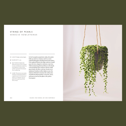 The Healing Power of Plants - String of Pearls