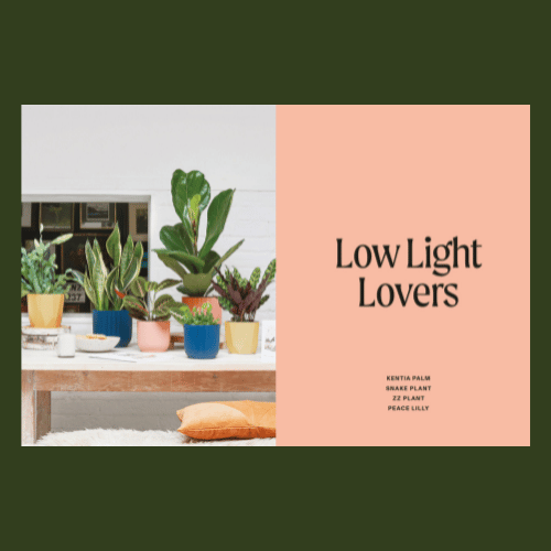 Unkillables Plant Book