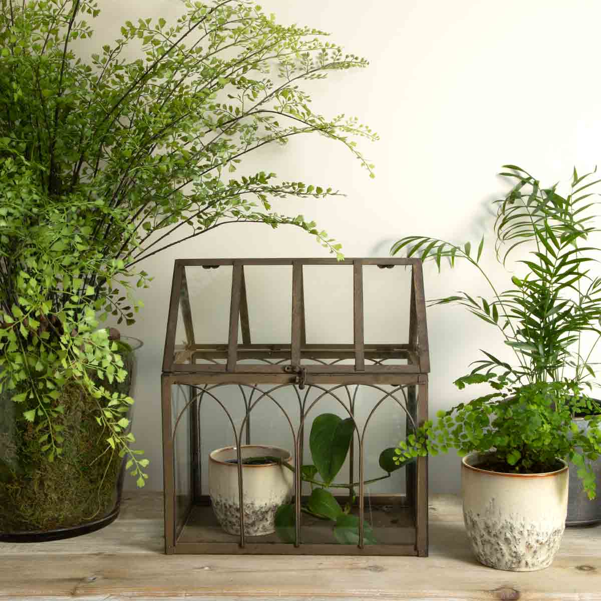 Valeria Greenhouse Terrarium