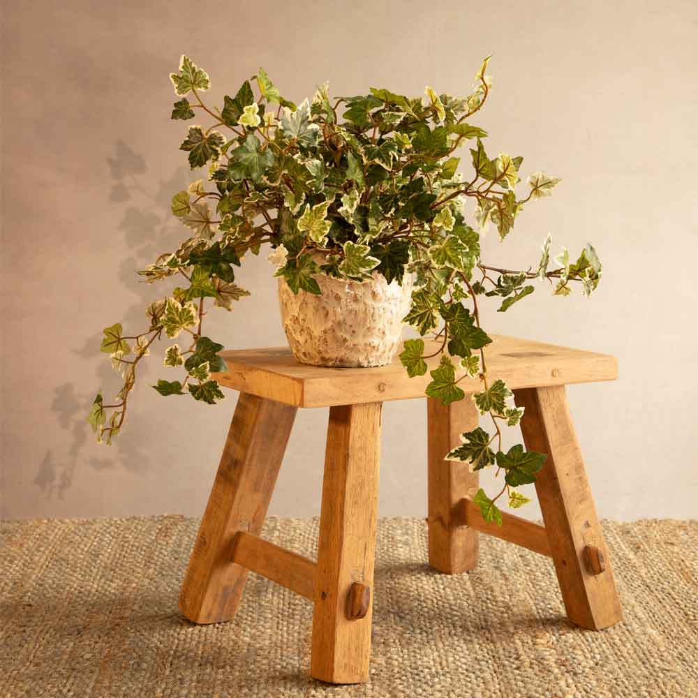 An artificial ivy plant in a textured beige pot, displayed on a rustic wooden stool over a woven jute rug against a neutral beige wall.