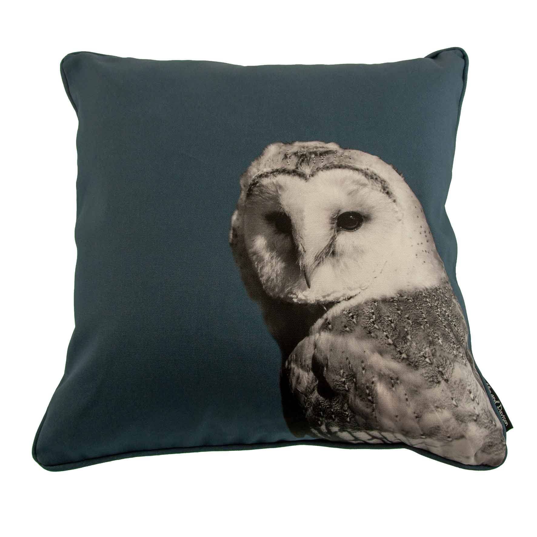 Barn Owl Cushion
