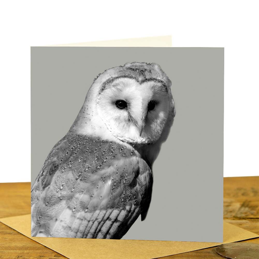 Barn Owl Greeting Card - Sage Grey