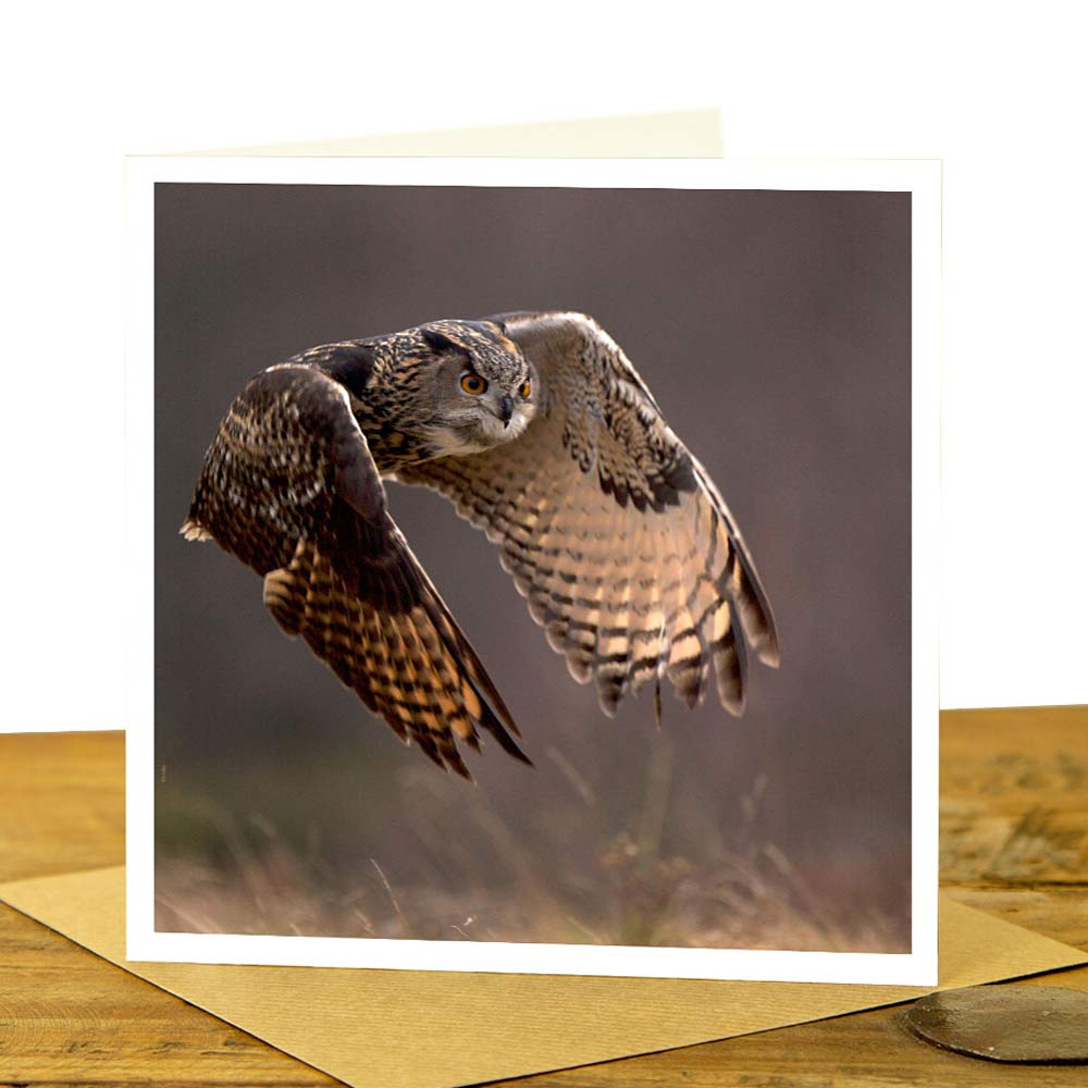 Eagle Owl Greeting Card - Flying Eagle Owl