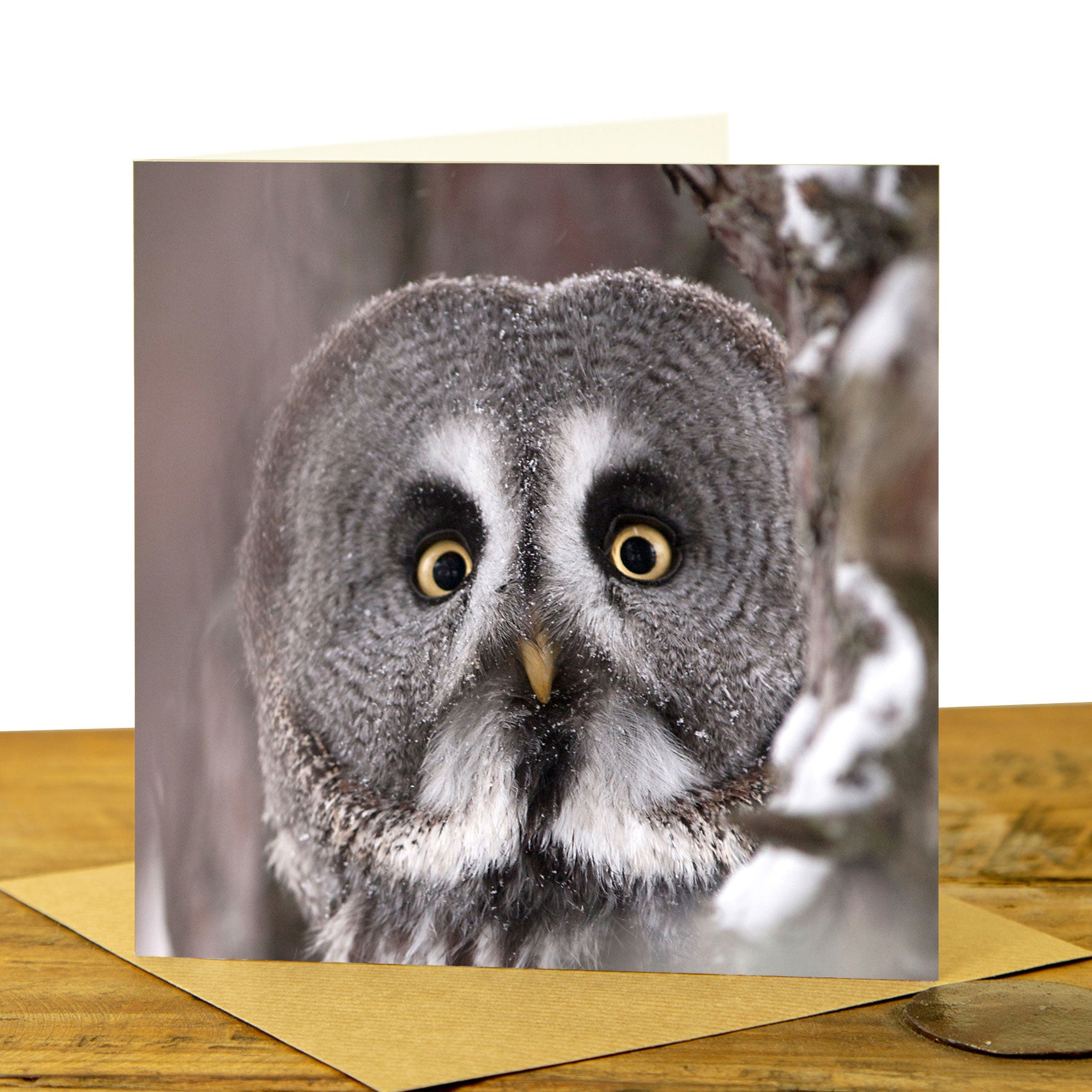 Great Grey Owl Greeting Card
